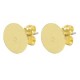DQ metaal Earpin 10mm rond Goud